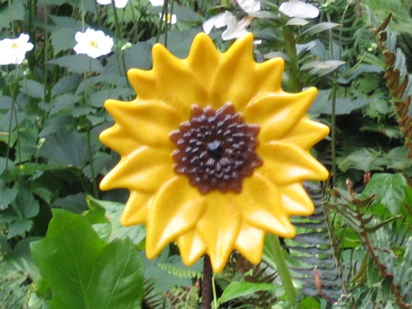 Garden Sunflower