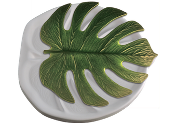 Monstera Leaf